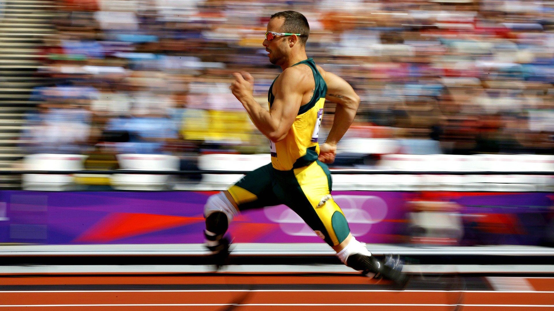 血脉相传：车手家族的世代传奇，车手jason